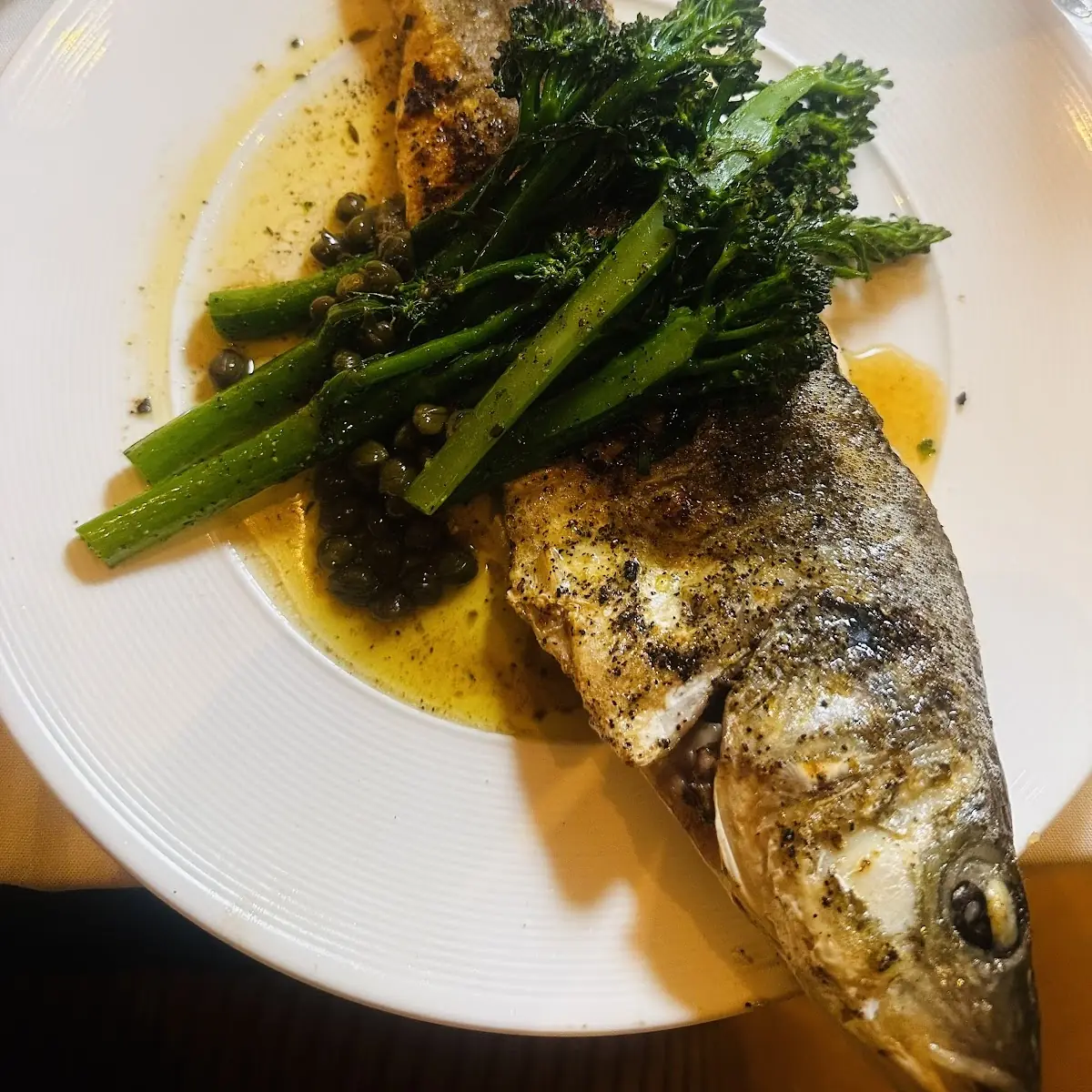 Sea Bass