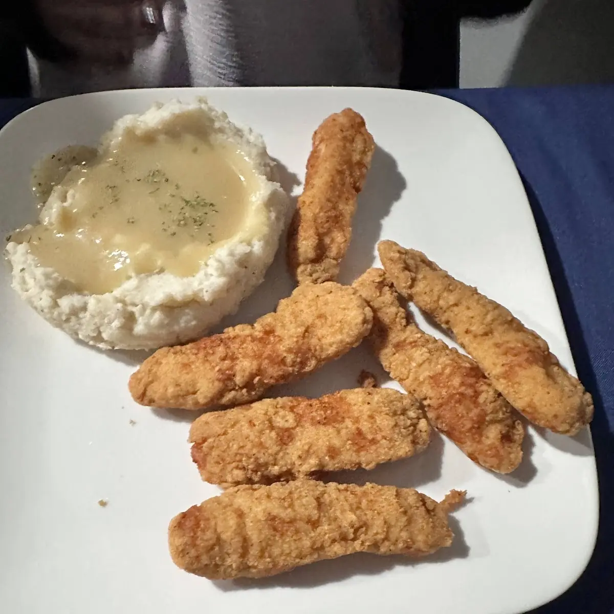 Chicken Tenders with Fries