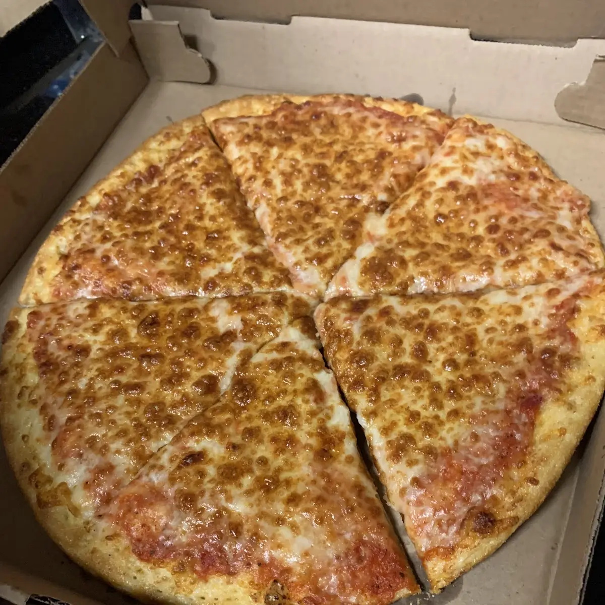 Regular Plain Cheese Pizza
