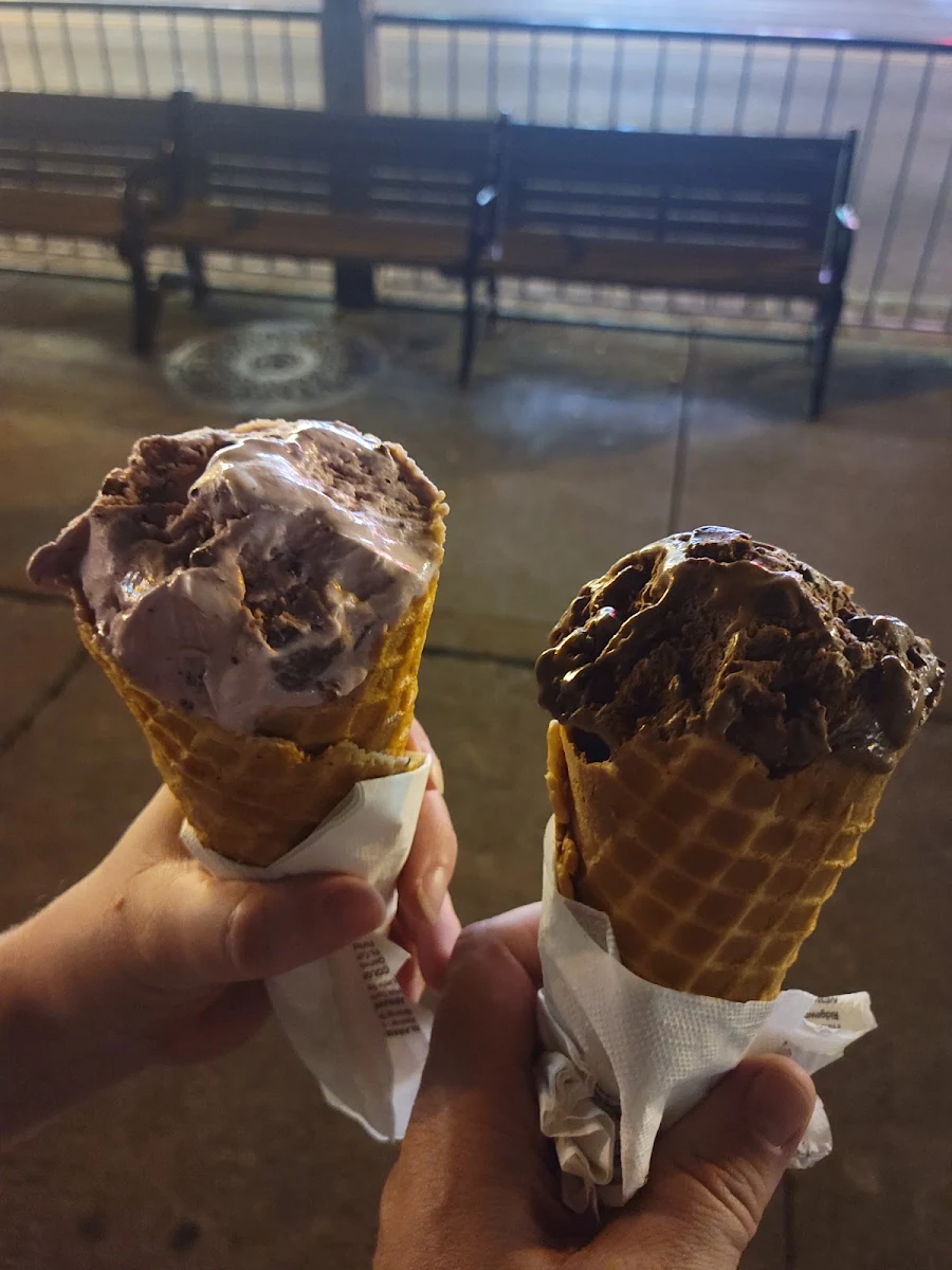 Blueberry Cone and Chocolate Fudge Cone