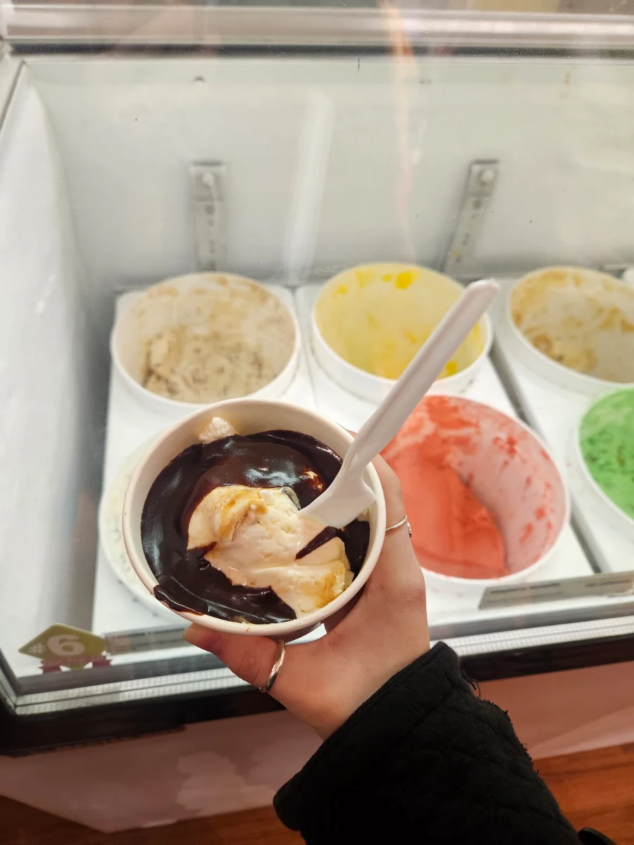 Ice Cream with Hot Fudge