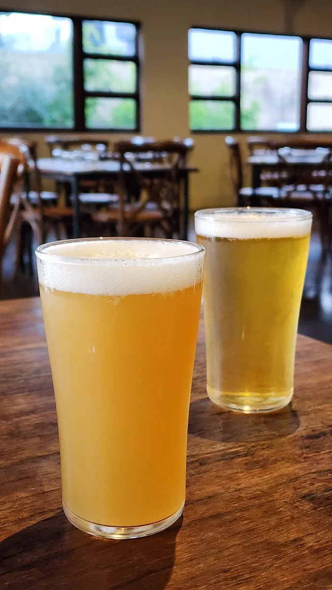 Beer