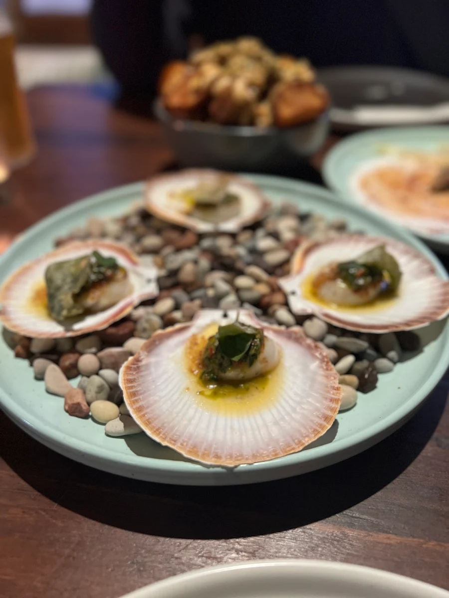 Scallops