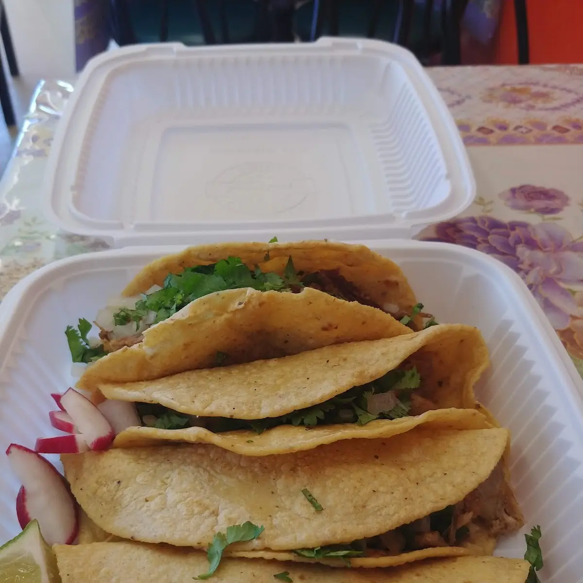 Carnitas Taco