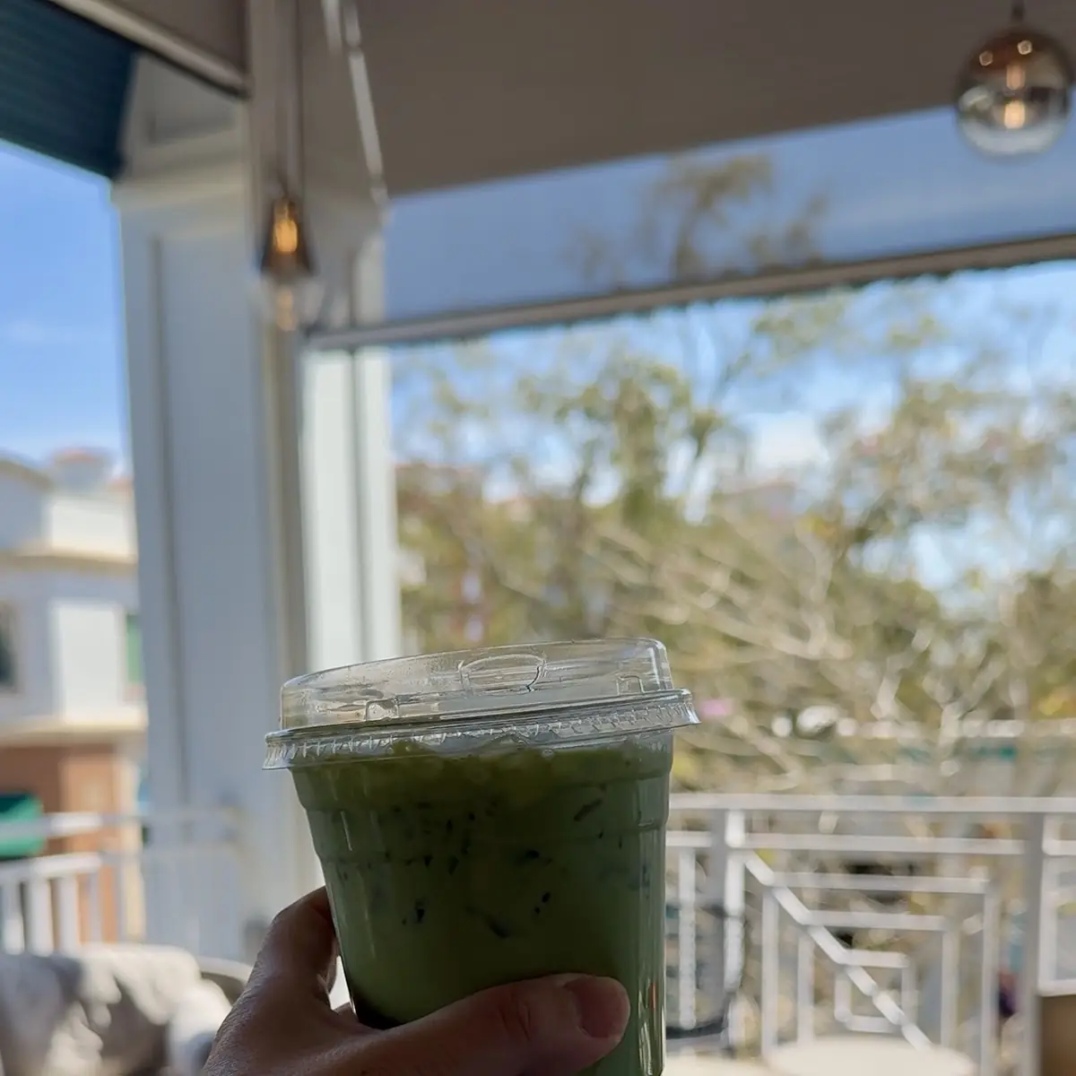 Iced Matcha Latte