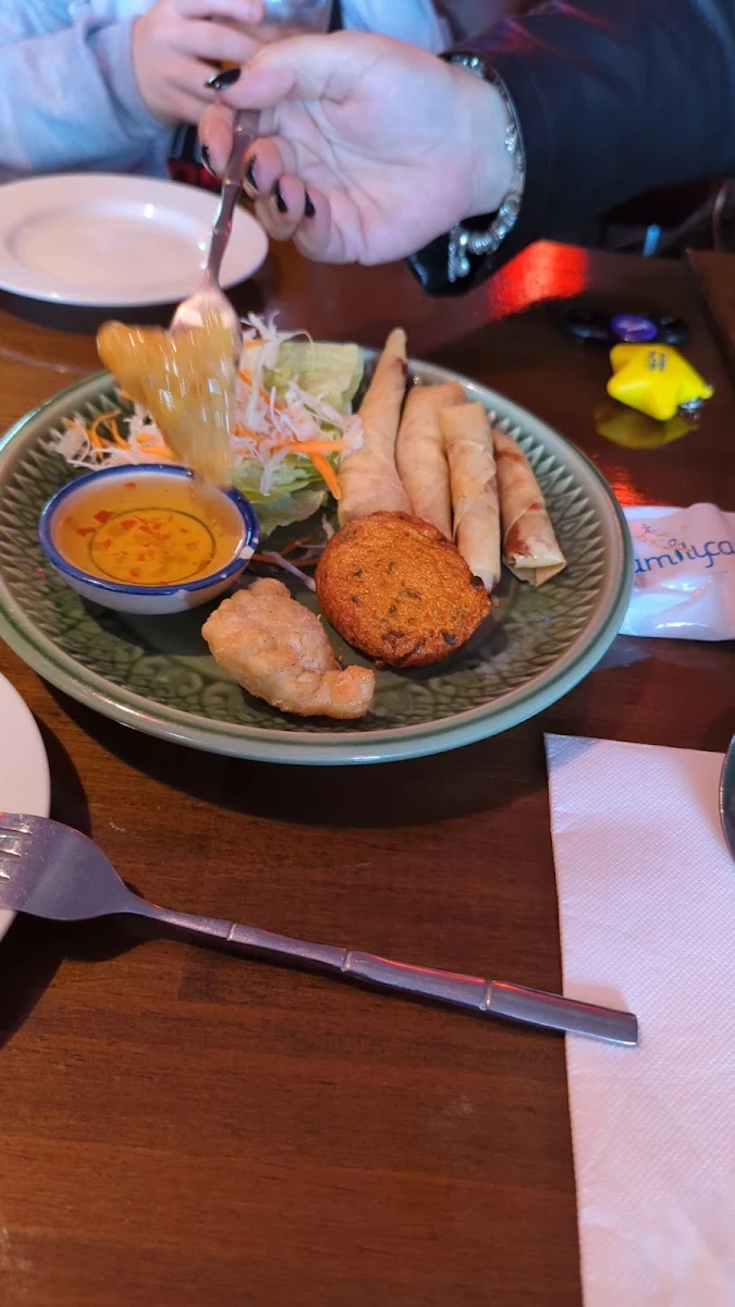Spring Rolls Fish Cakes, Torng Bai Thai Restaurant