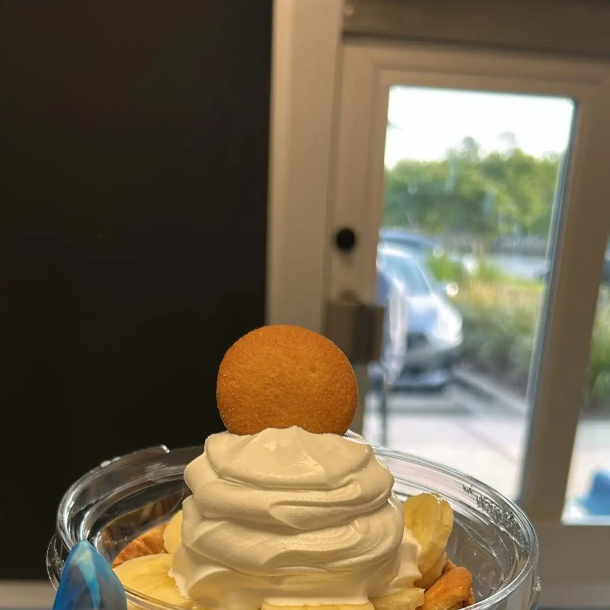 Vanilla Ice Cream