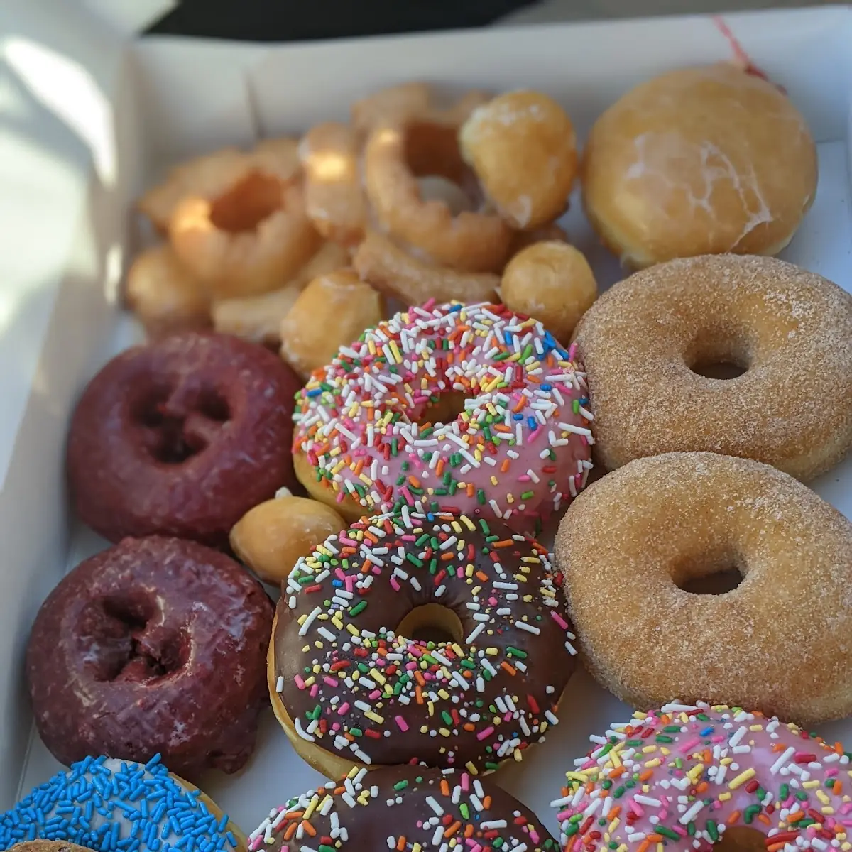 Doughnut