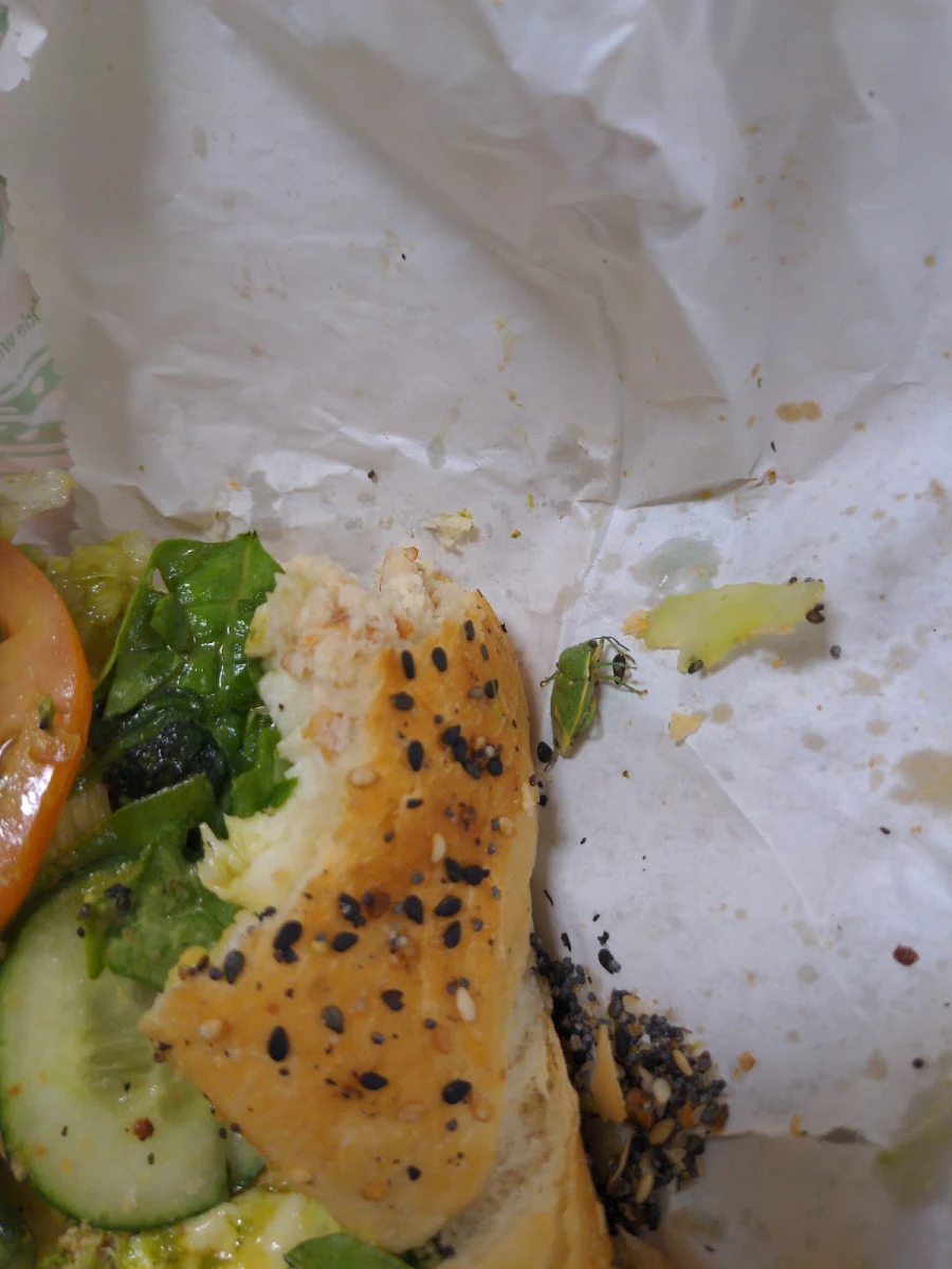 Veggie Delite