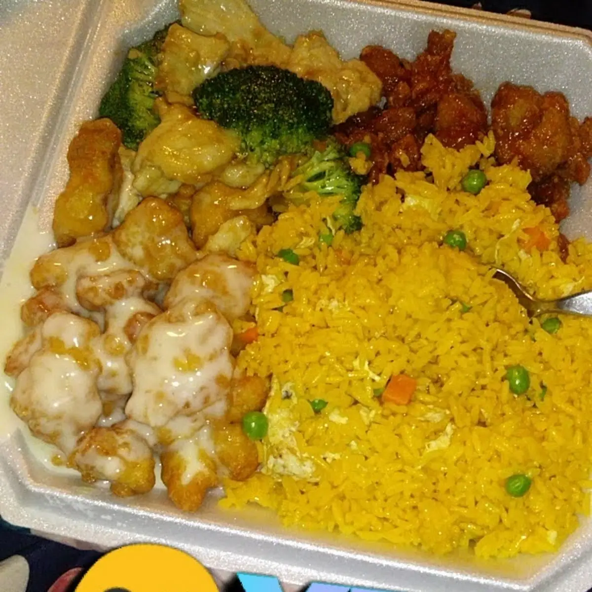 Coconut Chicken Broccoli Chicken Honey Chicken and Fried Rice