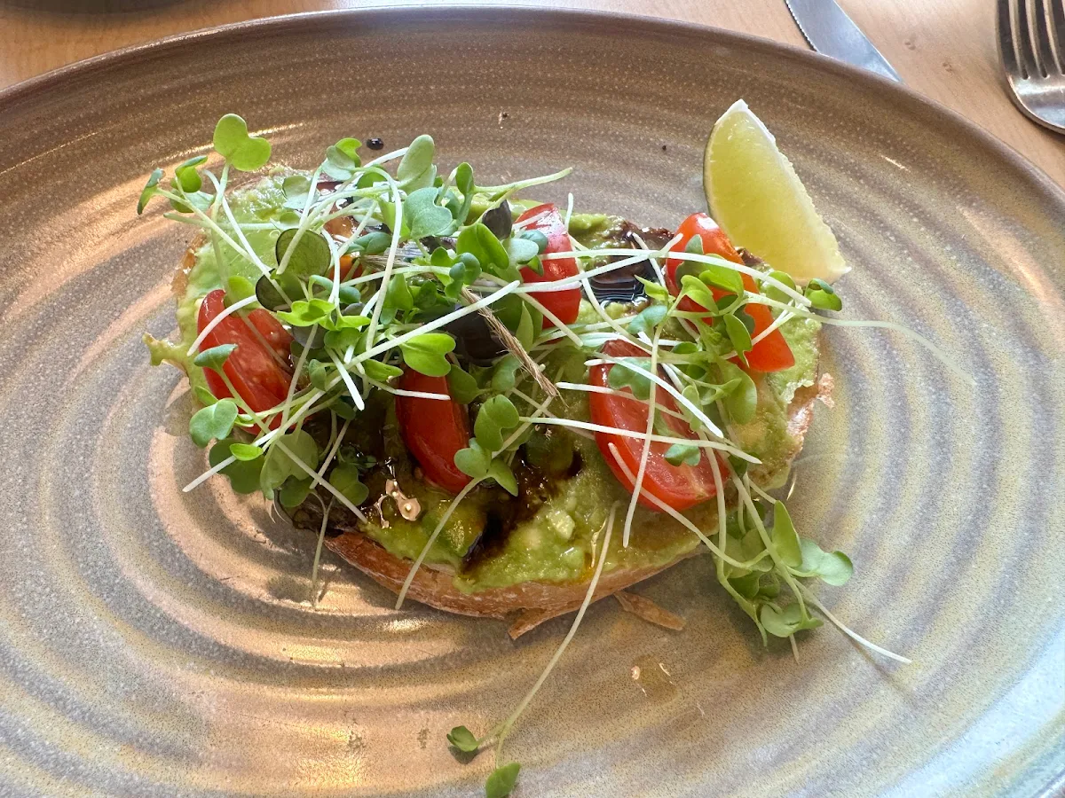 Avo Classic Toast