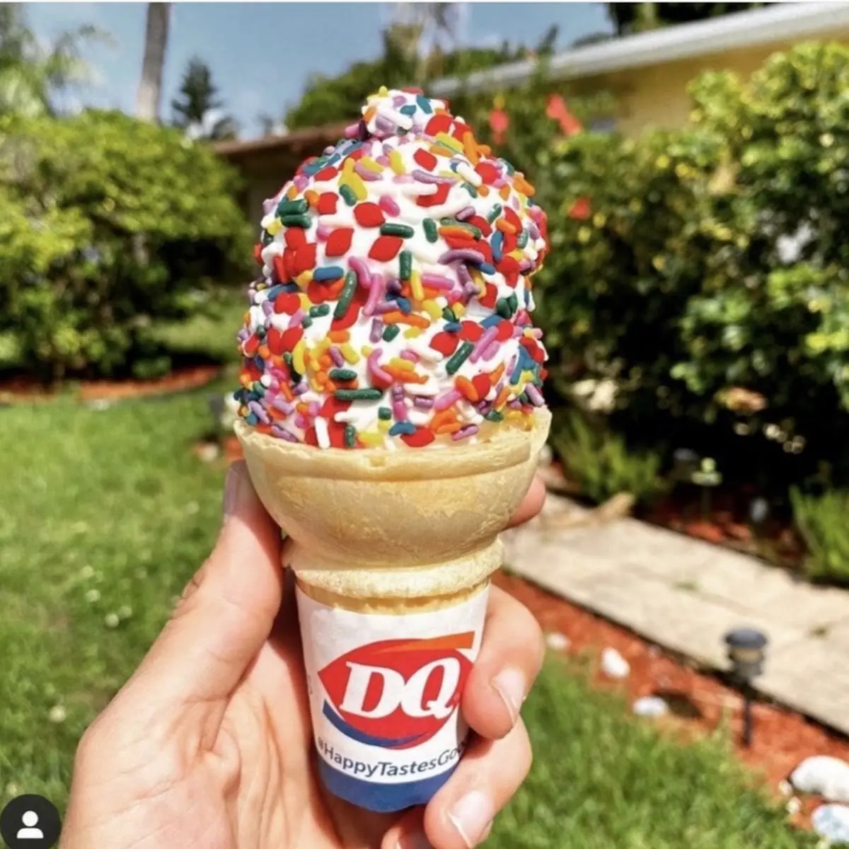 Soft Serve