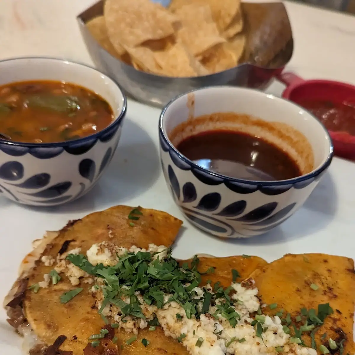Birria (3)