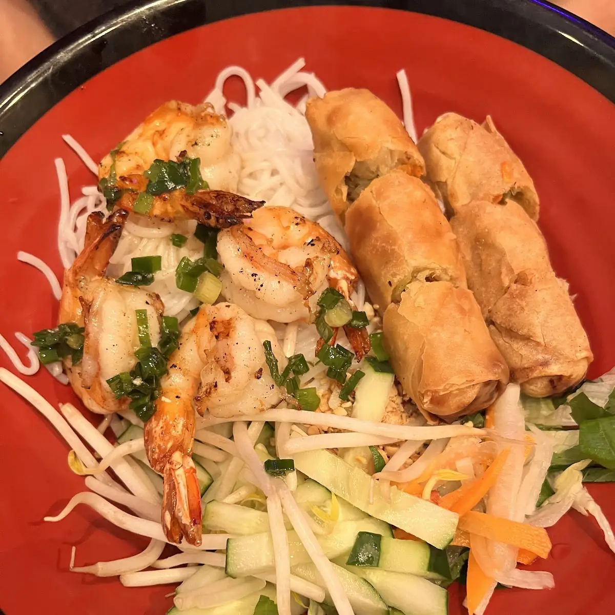 Crispy Vegetable Spring Rolls 2