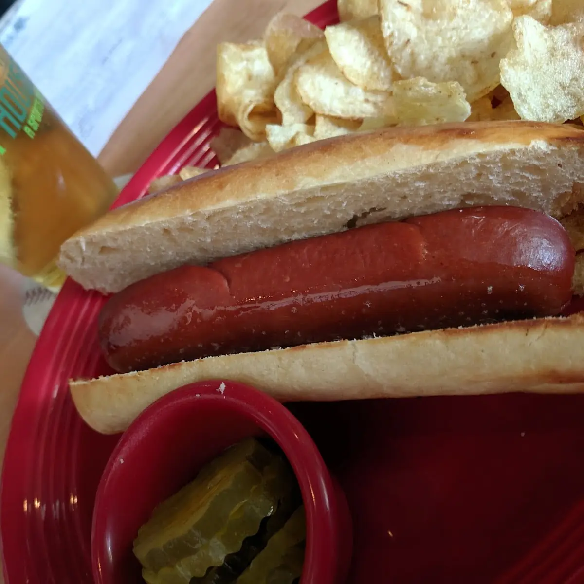 Memphis Dog