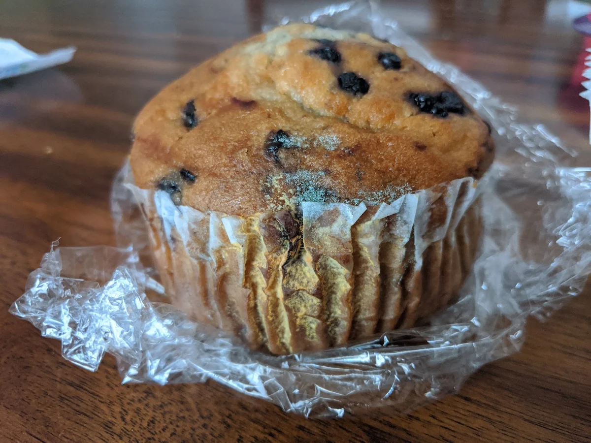 Blueberry Muffin