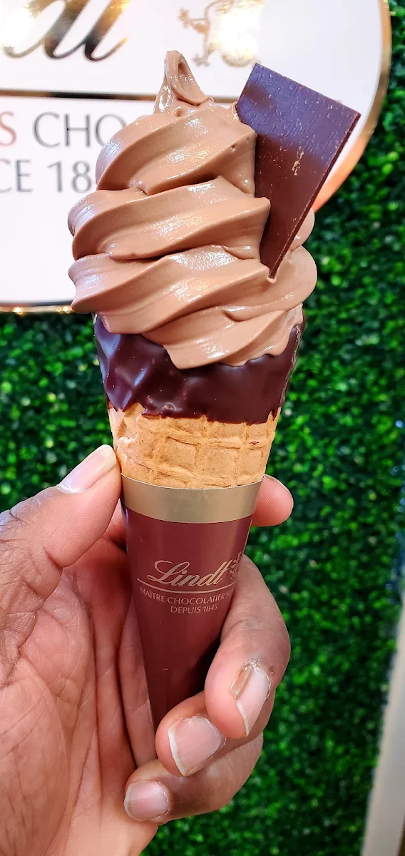 Chocolate Ice Cream Cone with Hazelnut Swirl