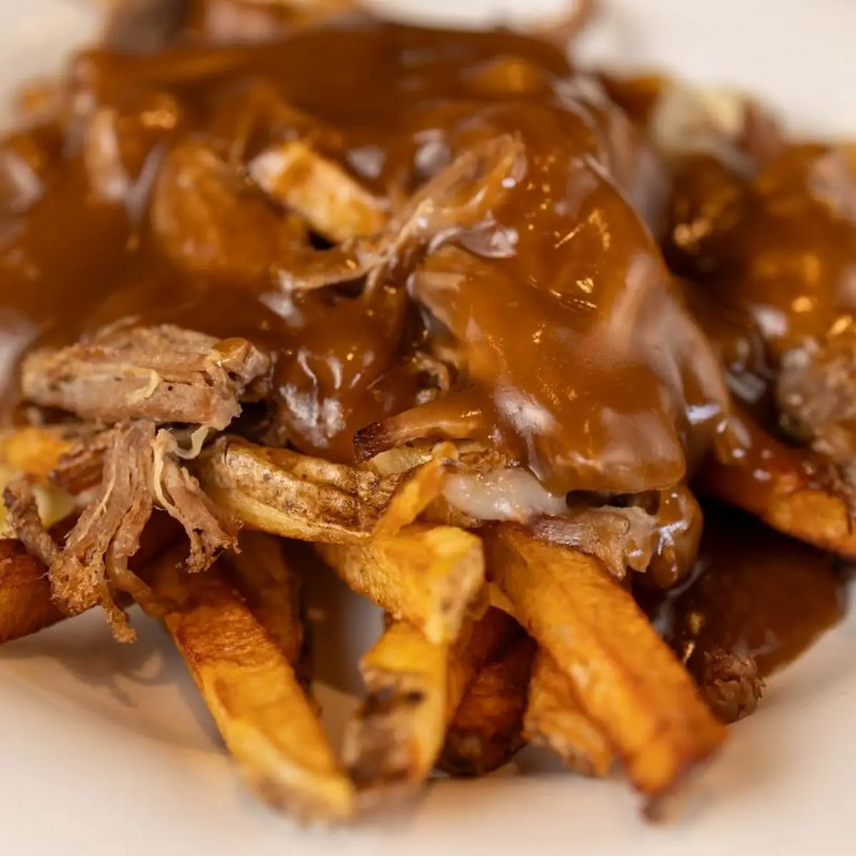 Pulled Pork Fry