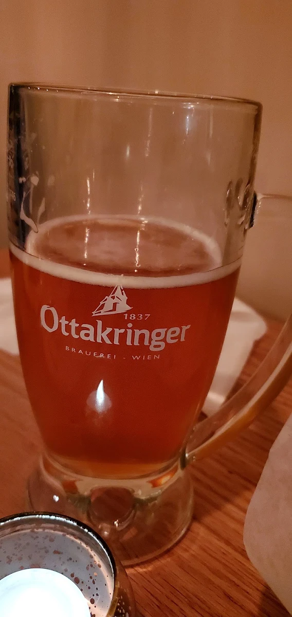 Austrian Draft Beer, Mashu Mashu Mediterranean Grill