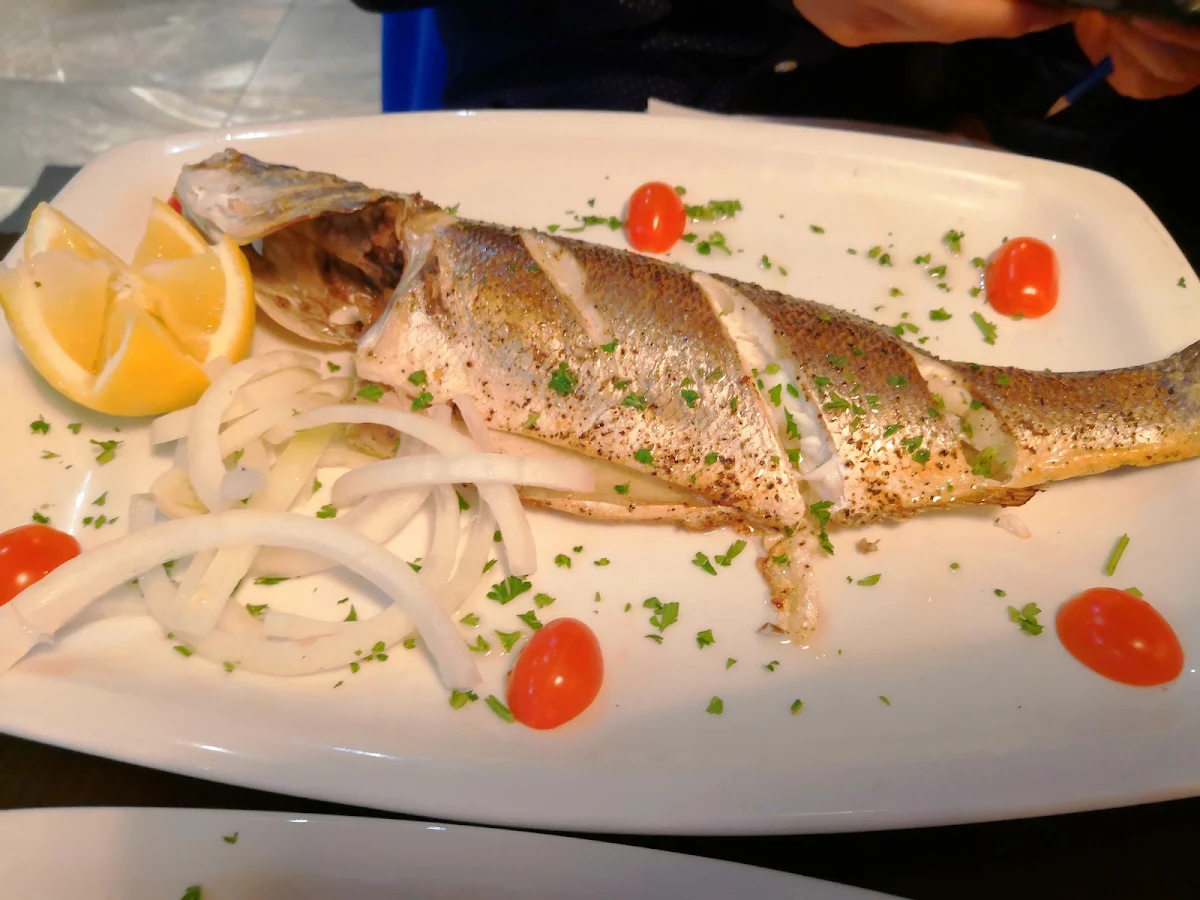 Sea Bass, Mashu Mashu Mediterranean Grill