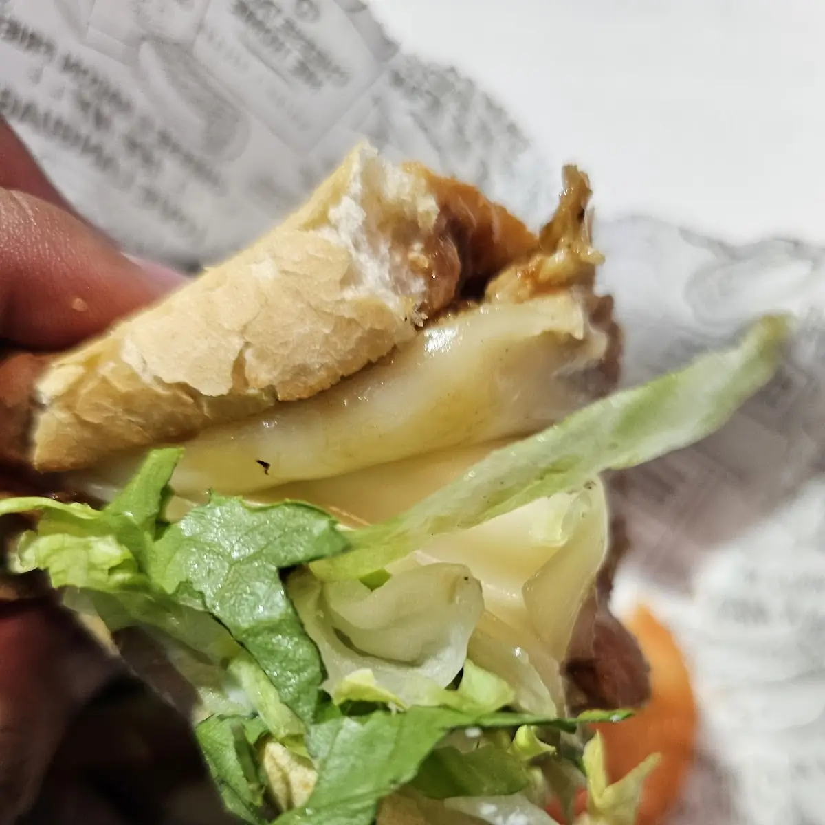 Teriyaki Sandwich