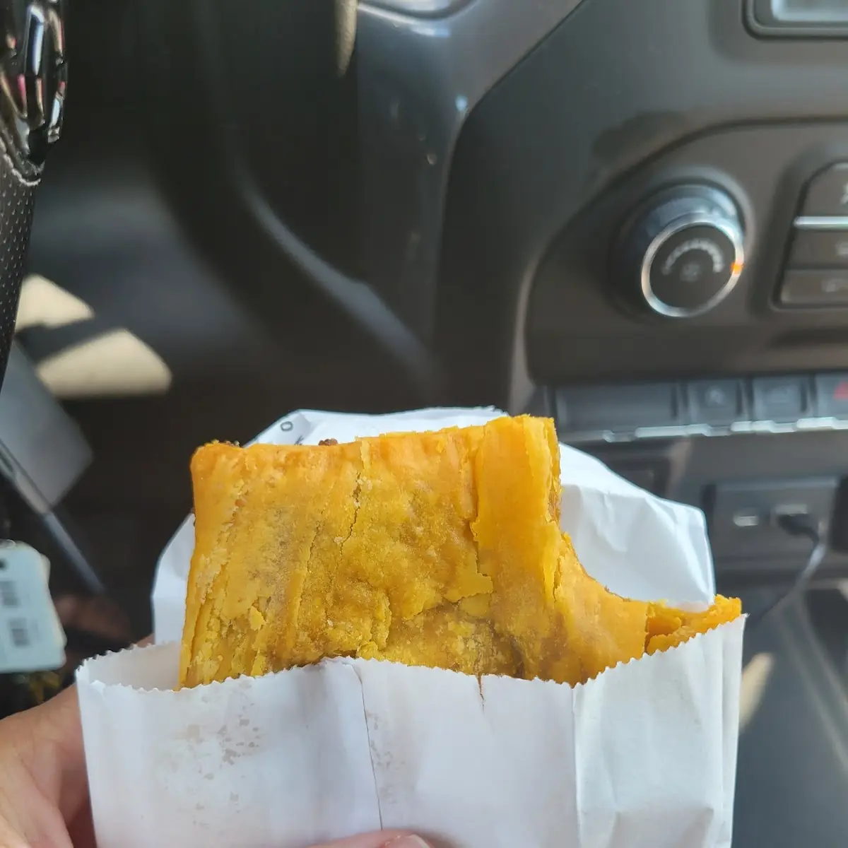 Spinach Patty
