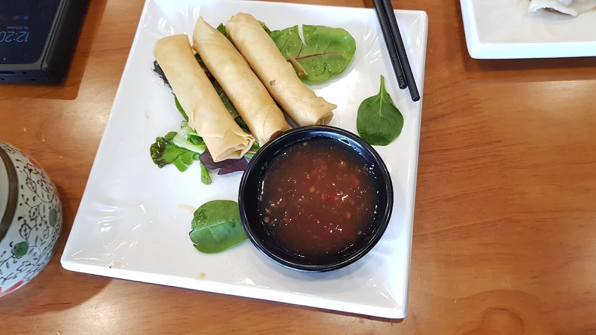 Spring Rolls, U-Dumpling