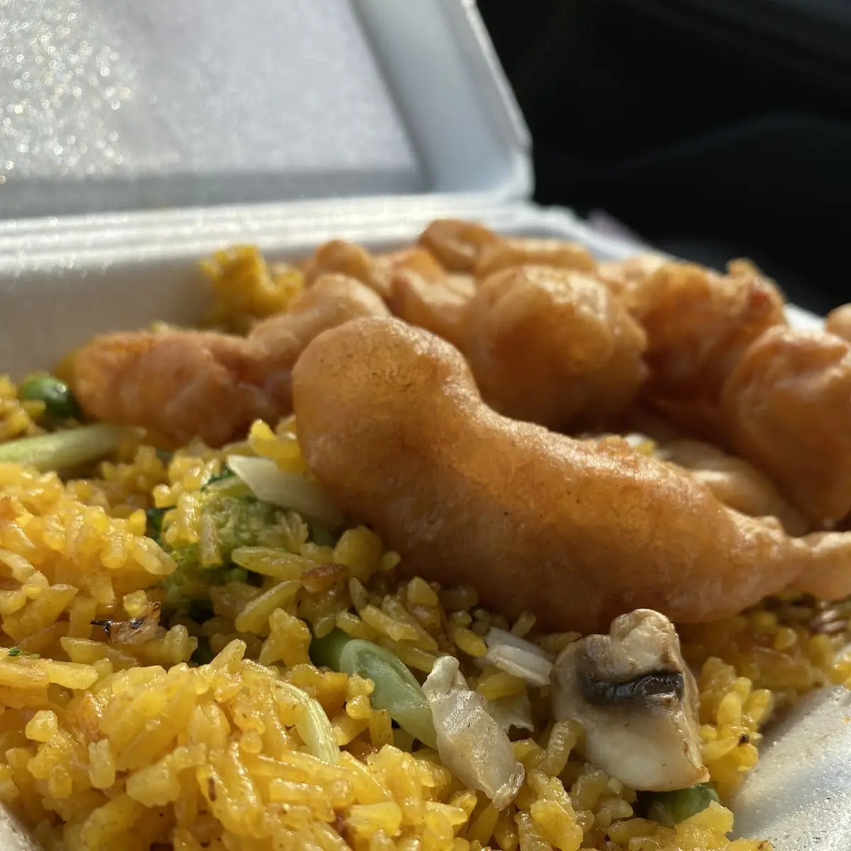 Chicken Wing with Shrimp Fried Rice Special Plate