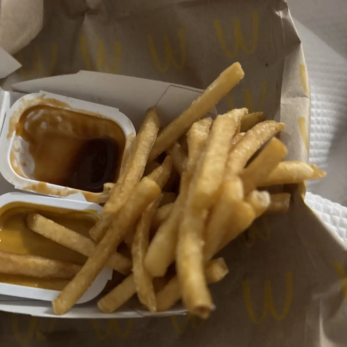 World Famous Fries