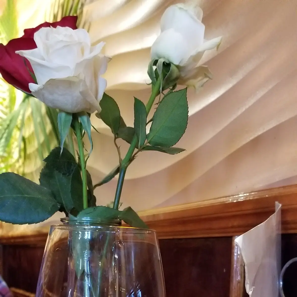 Red Wine