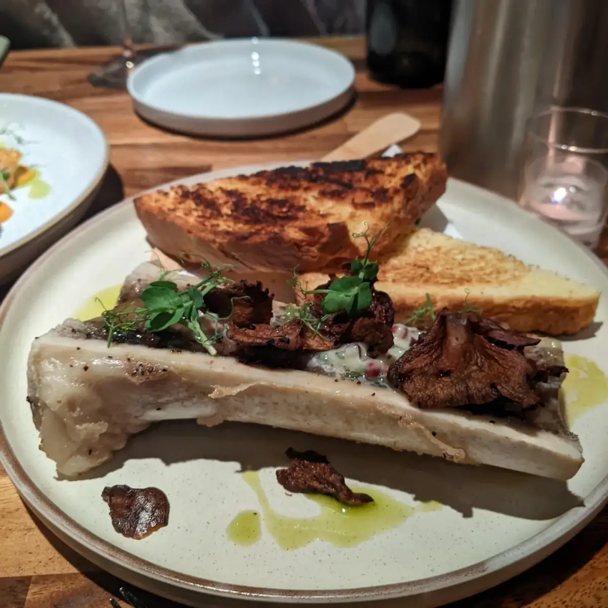 Bone Marrow
