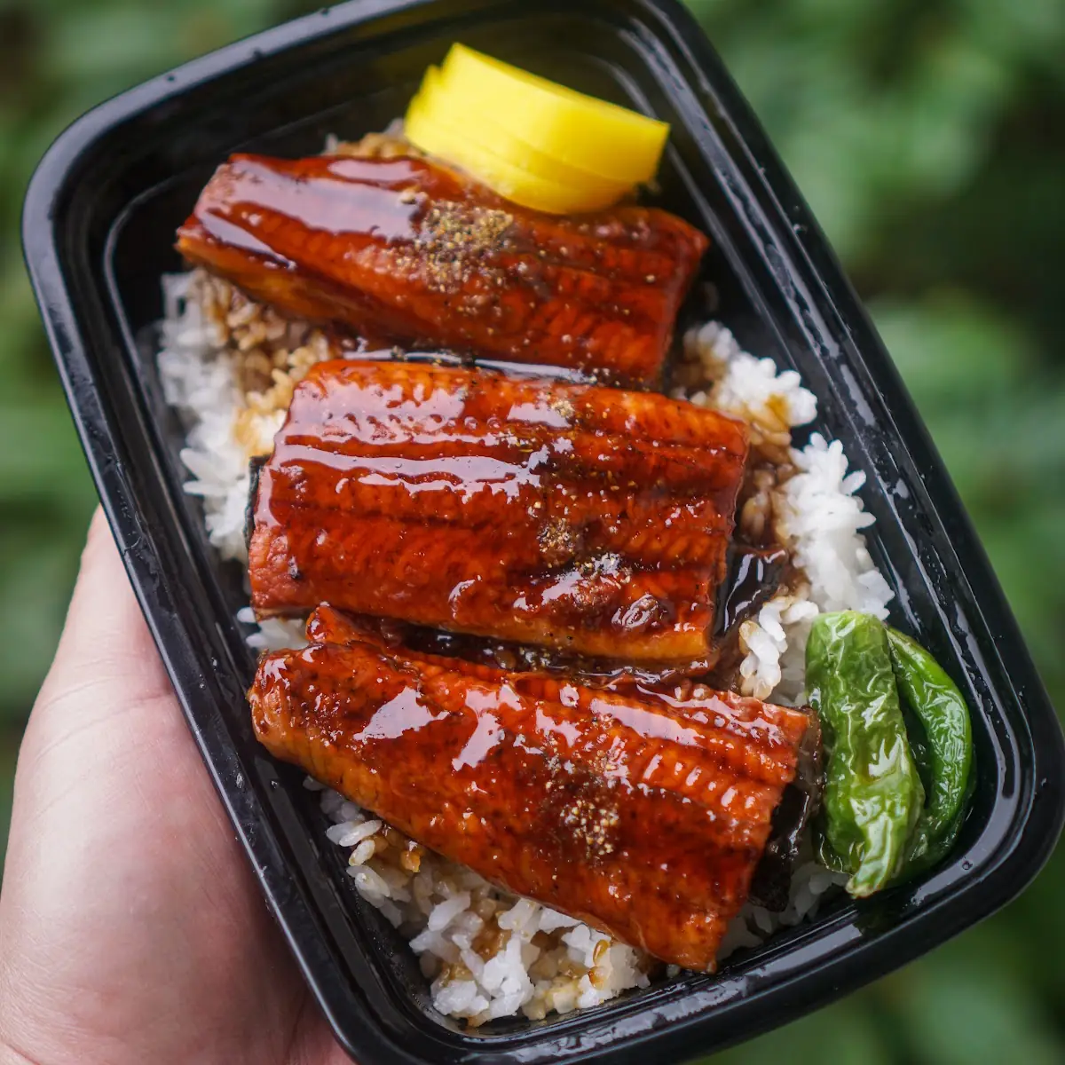 Grilled Eel Rice Bento Box