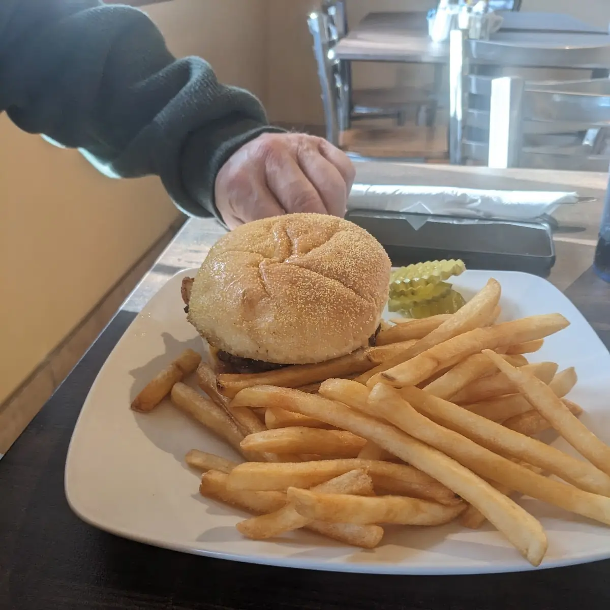 Cheese Burger and Fries