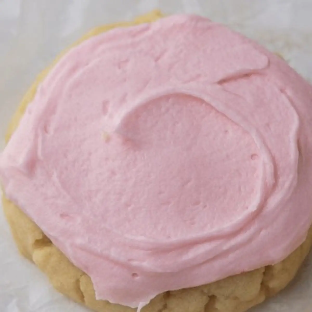 Sugar Cookie