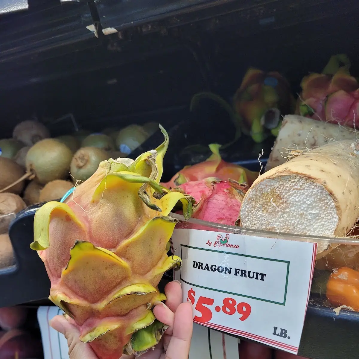 Dragon Fruit