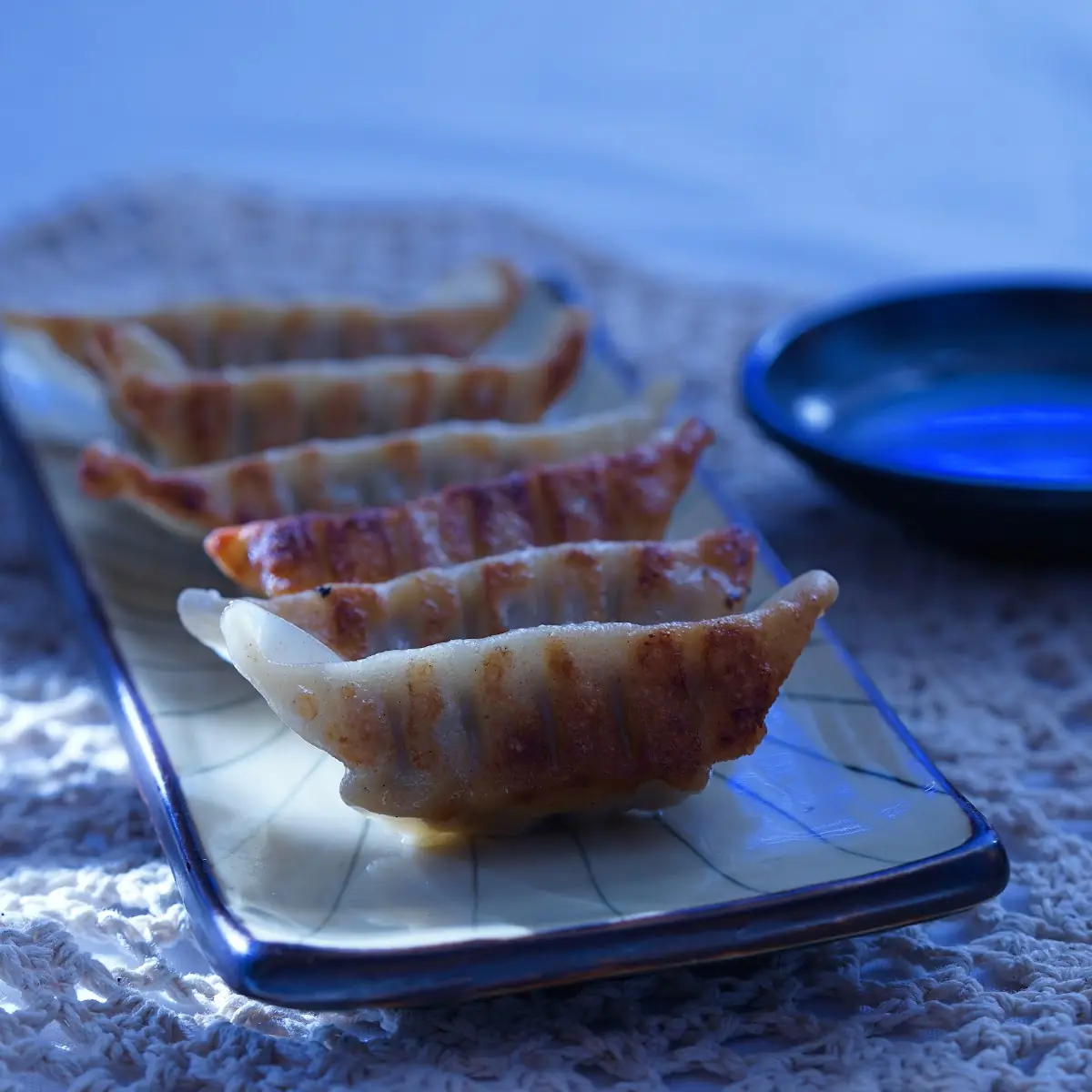 Gyoza Pan Fried Pot- Sticker