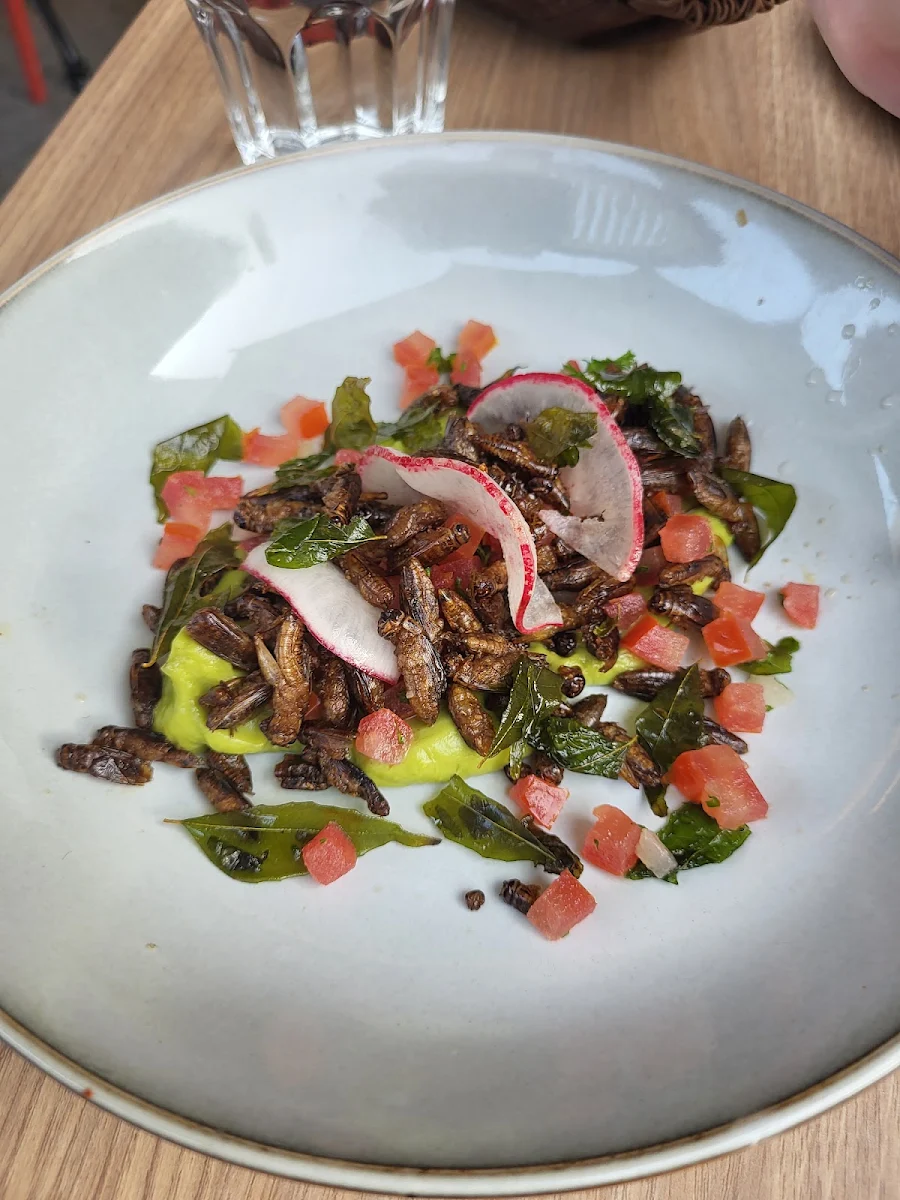 Fried Crickets Yes Actual Crickets, Street Eats Eatery