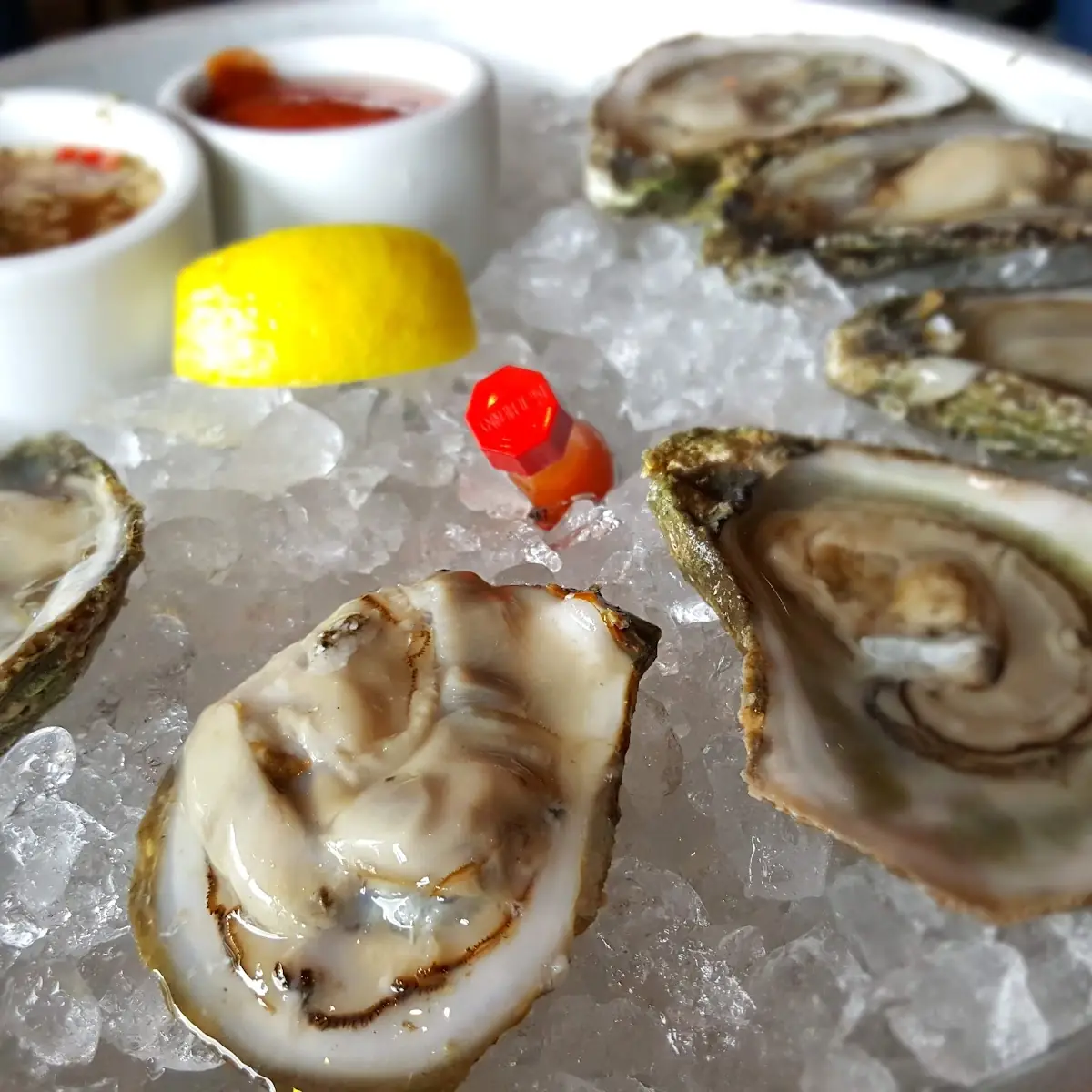 Oysters on the Half Shell