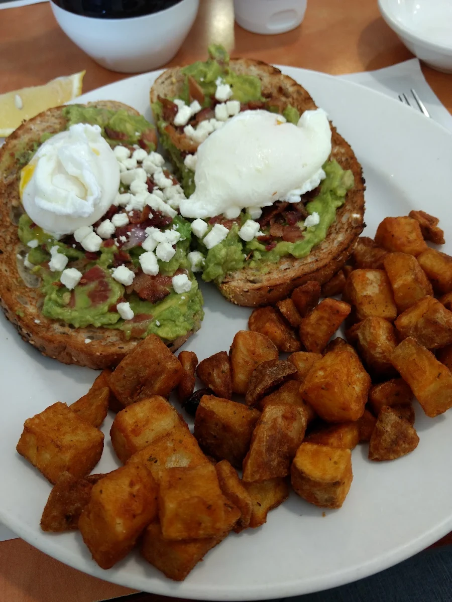 Avacado Toast