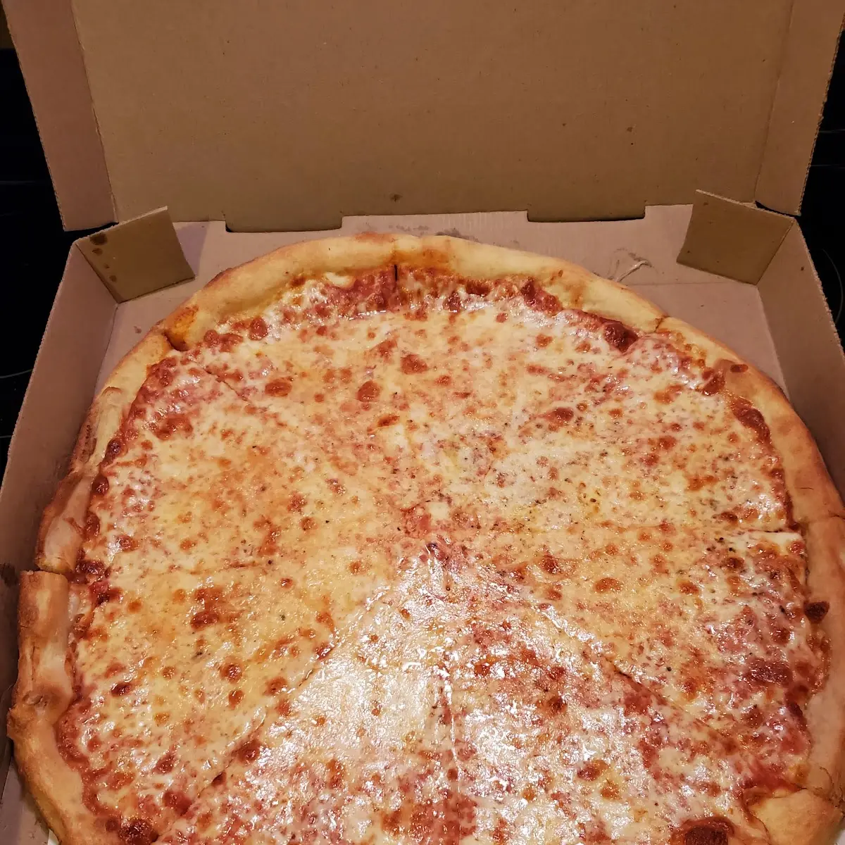 Large Plain Cheese Pizza