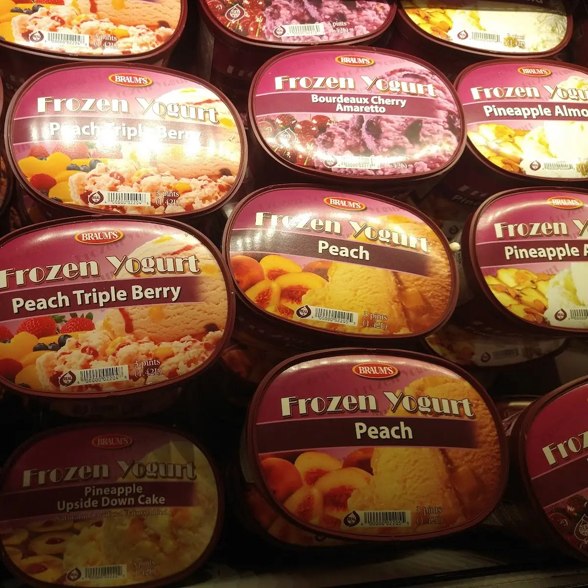 Frozen Yogurt