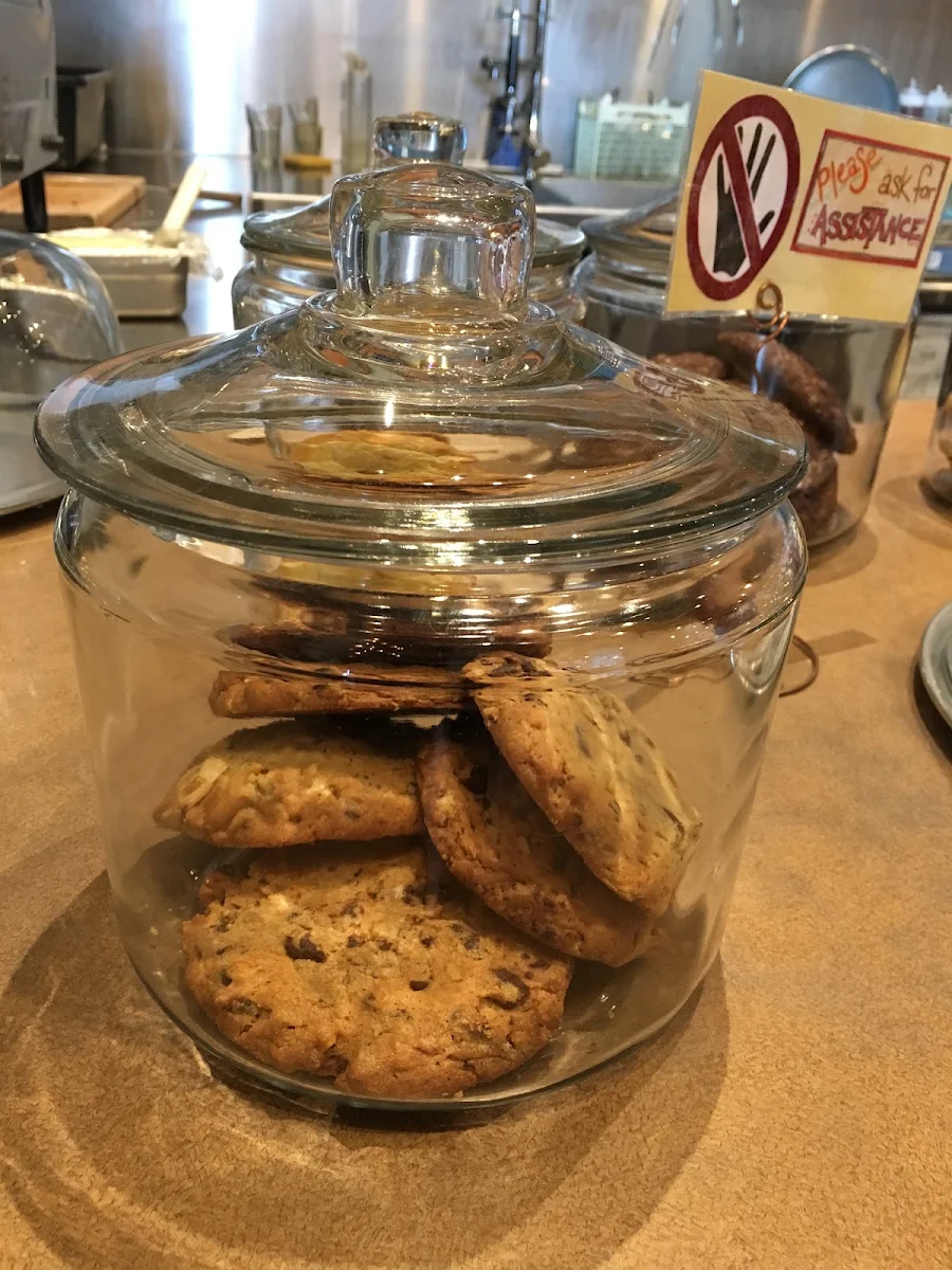 Chocolate Chip Cookie