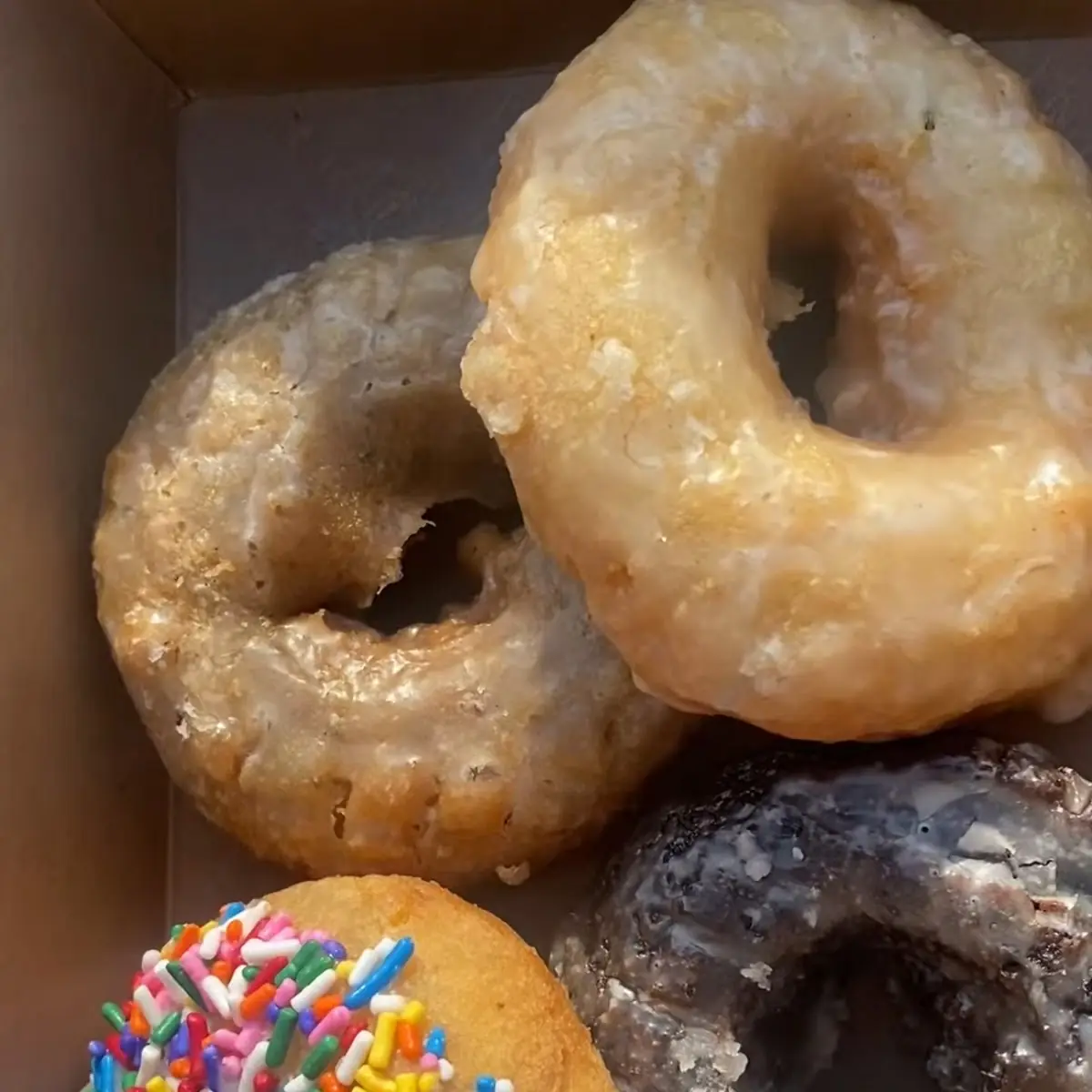 Doughnut