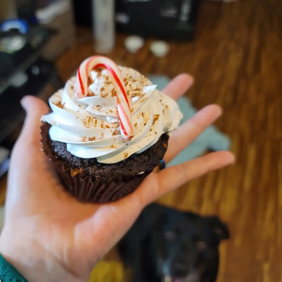 Hot Chocolate Cupcake