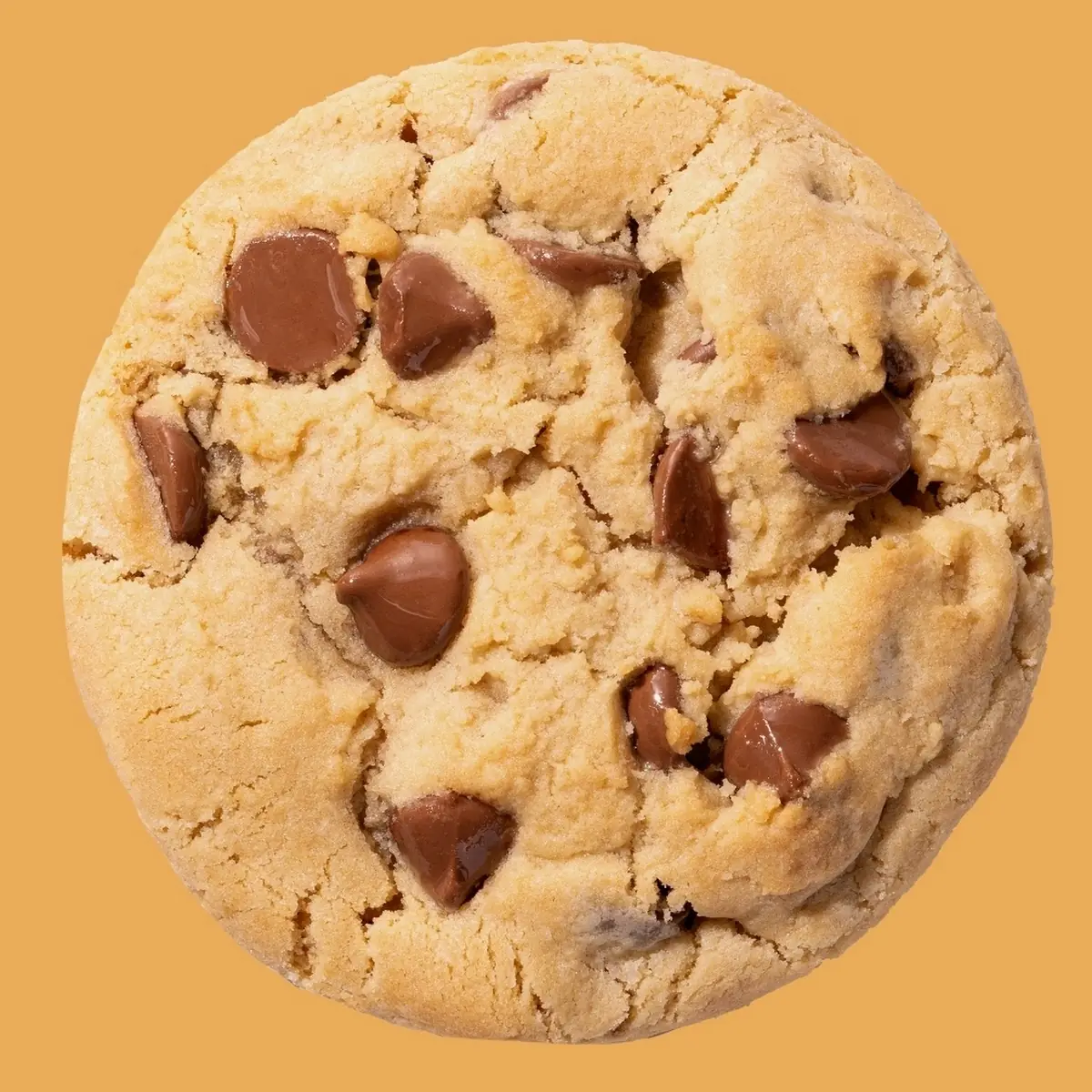 Chocolate Chip Cookie