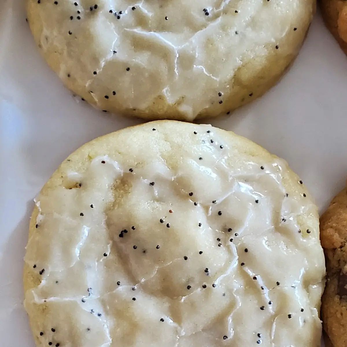 Warm Lemon Poppyseed