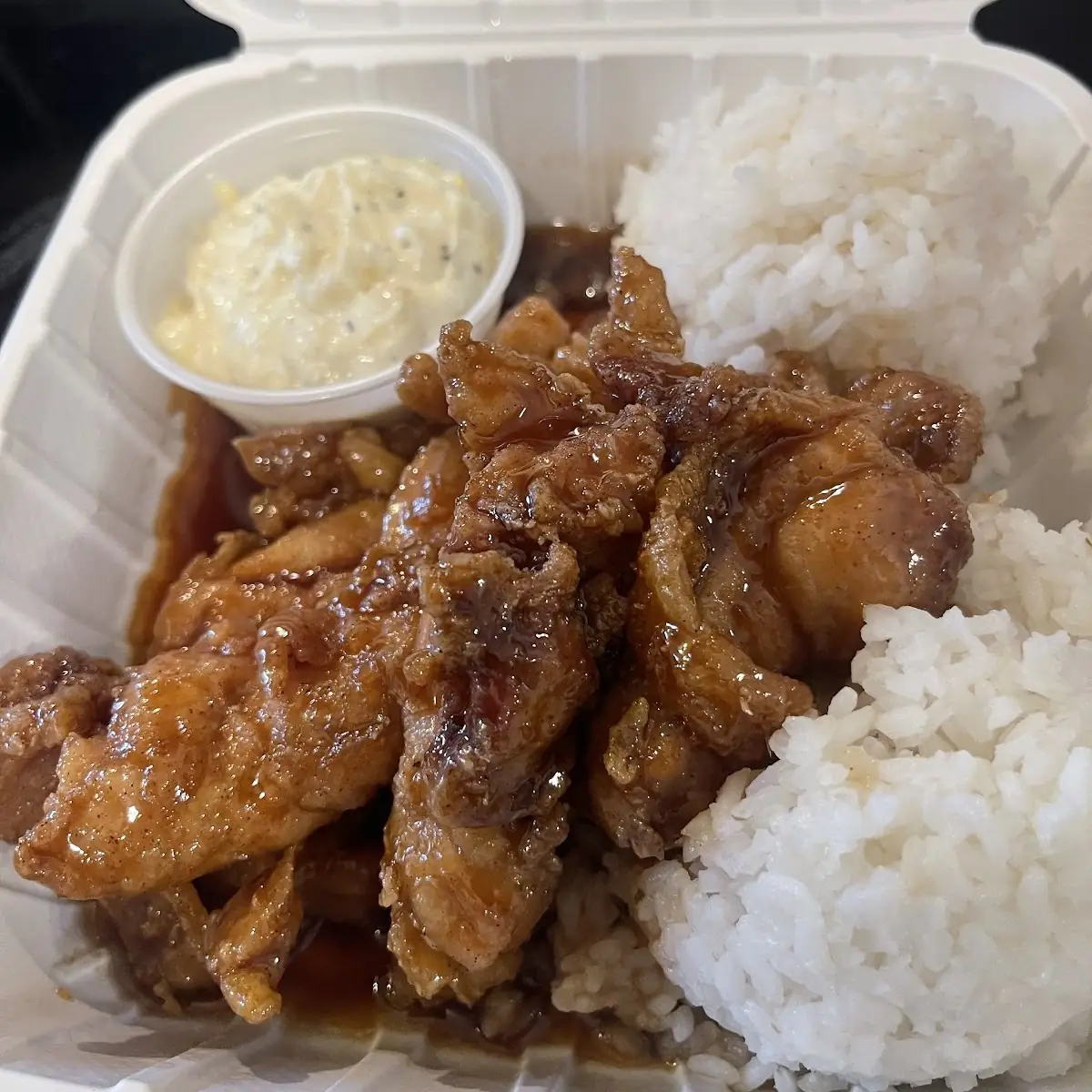 White Rice and Mac Salad