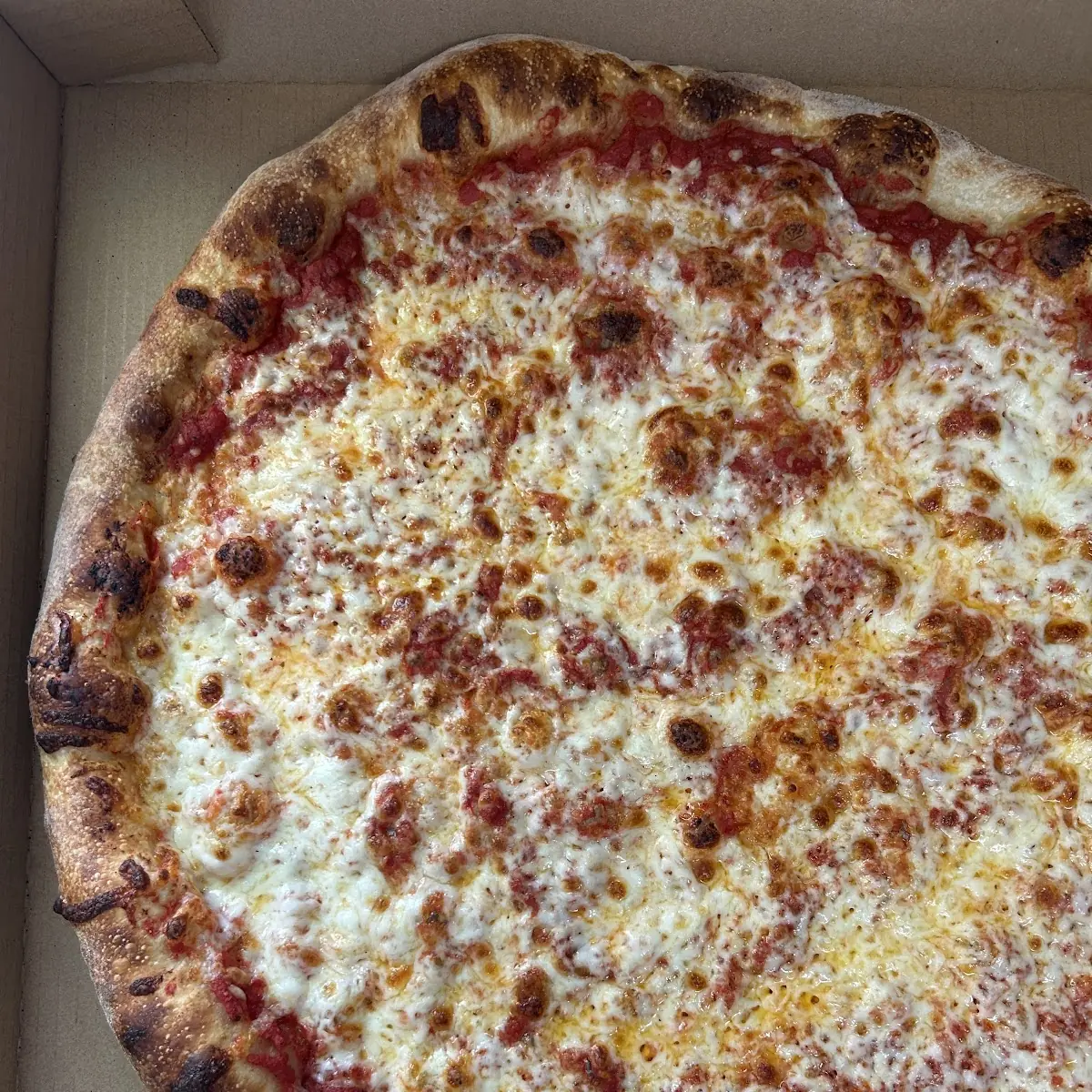 Large Margherita
