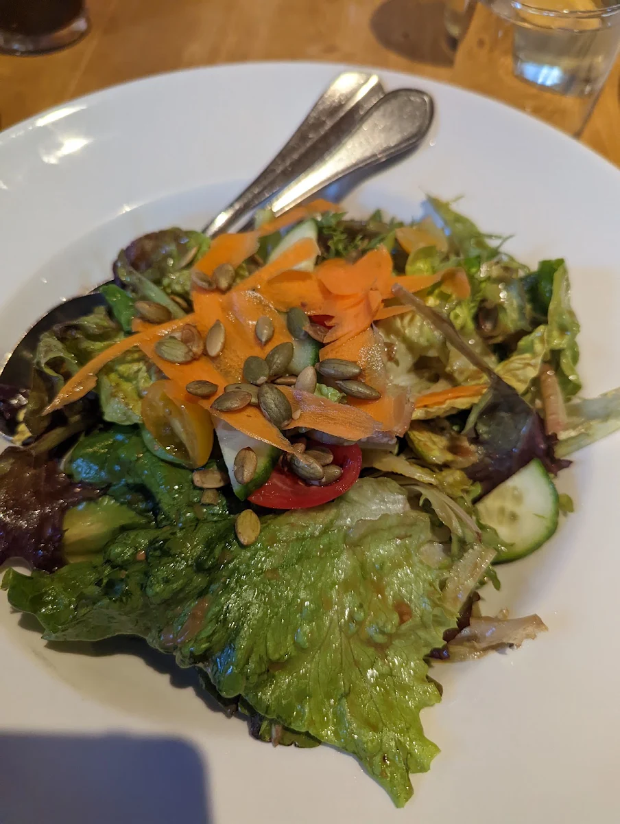 Garden Salad