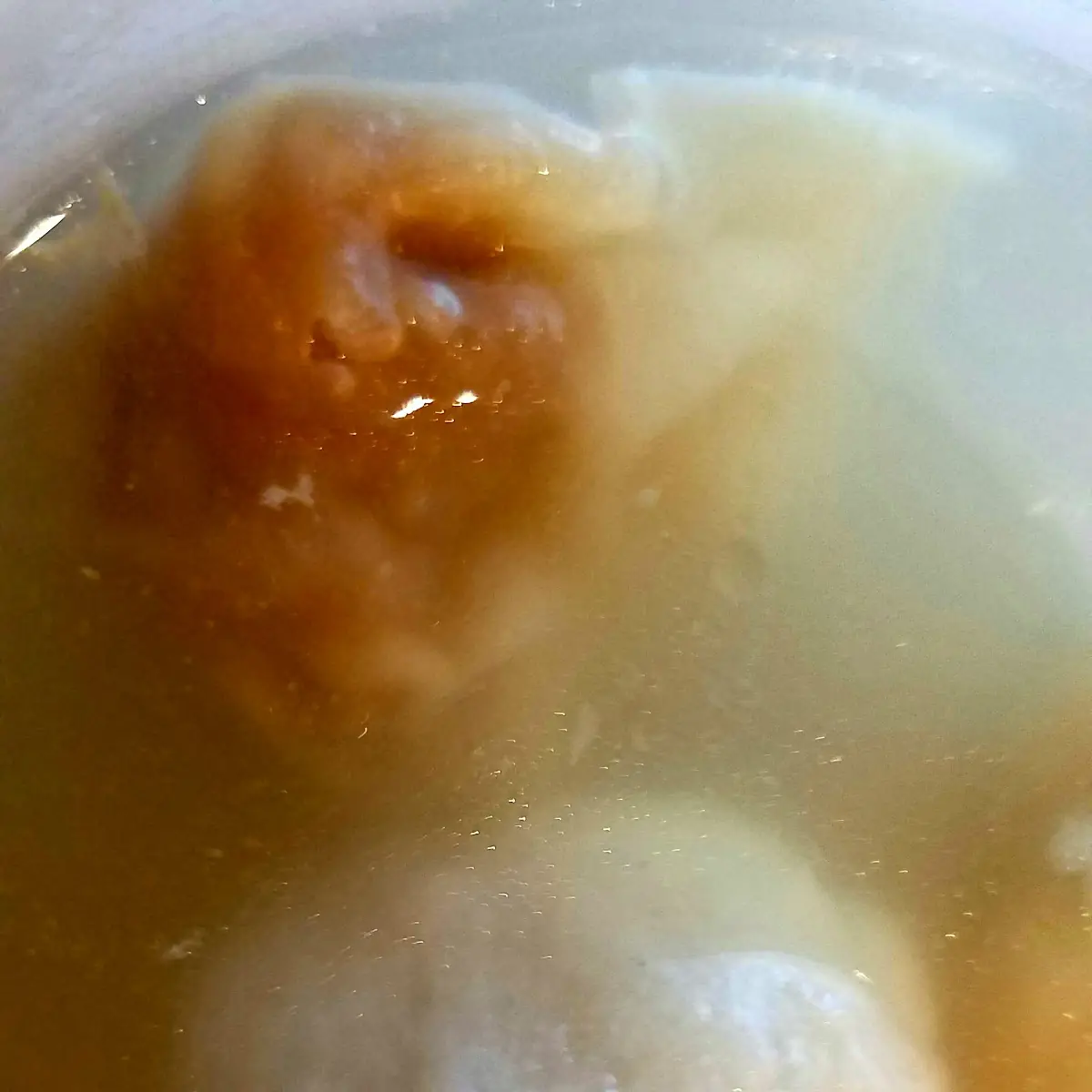 Pork Dumpling